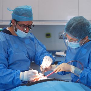 Mini-Dental-Implants-Berkshire